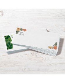 Full Color Standard Envelopes 